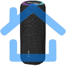 Портативная колонка AIWA (19177) PAS-H200 черный