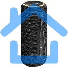 Портативная колонка AIWA (19177) PAS-H200 черный