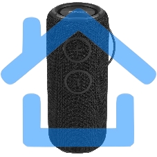 Колонка беспроводная AIWA (19179) PAS-H300 черный