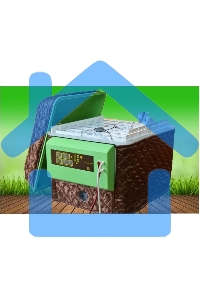 Инкубатор бытовой Спектр-84-01 автоматический универсальный, 84 куриных яйца