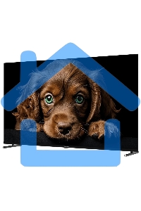 Телевизор Topdevice 50'' TDTV50CQ08U черный A-QLED UHD 60Hz Smart 2/8Gb