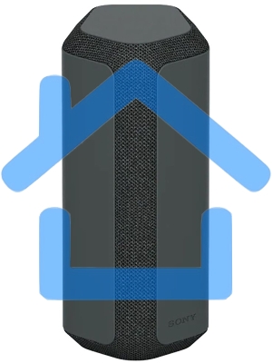 Беспроводная колонка Sony SRS-XE300, черный