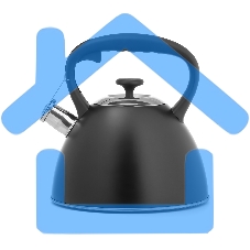 Чайник для плиты LARA LR00-74 3 л, нержавеющая сталь, черный матовый