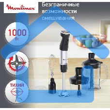 Погружной блендер MOULINEX DD67L810, серебристый/черный