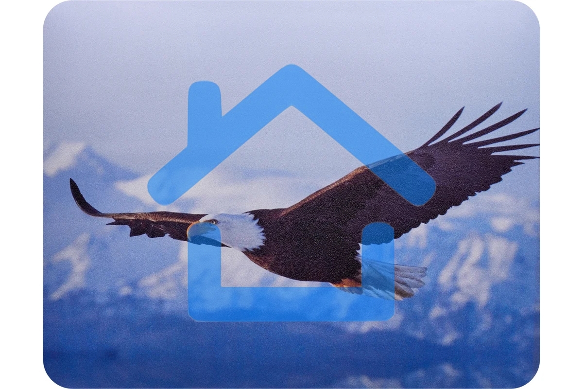 Коврик для мыши Buro BU-M40005 рисунок/орел