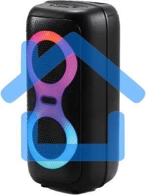 Портативная акустика AKSBERRY (6900305480016) AS-29 BassMood, черный