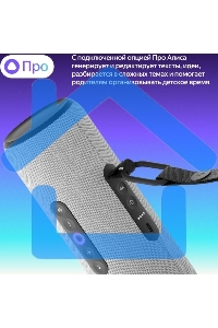 Умная портативная колонка Яндекс Станция Стрит с Алисой, модель YNDX-00030GRY (серый)