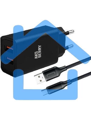 Сетевое зарядное устройство AKSBERRY (6900209230014) T38 2 USB 2.4A + кабель Type C, черный