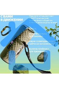 Умная портативная колонка Яндекс Станция Стрит с Алисой, модель YNDX-00030GRY (серый)