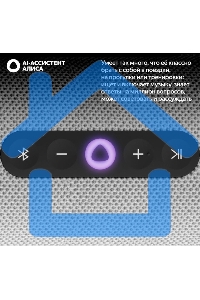 Умная портативная колонка Яндекс Станция Стрит с Алисой, модель YNDX-00030GRY (серый)