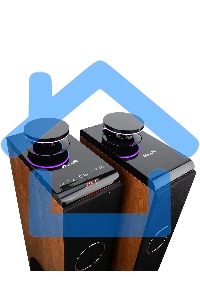 Колонка ELTRONIC (30-51 бук) HOME SOUND - 08