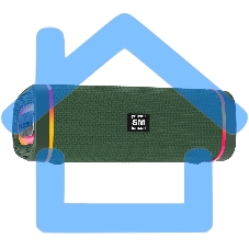 Портативная колонка SOUNDMAX SM-PS5019B зеленый