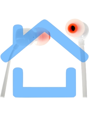 Наушники JBL Tune 110, 3.5 мм, внутриканальные, белый