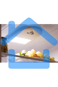 Холодильник Nordfrost NRB 124 S серый двухкамерный 238/70 л морозилка снизу