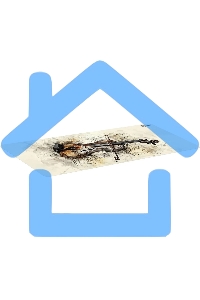 Коврик для мыши Cactus Musical 900x400x4мм (CS-MP-COR02XXL)