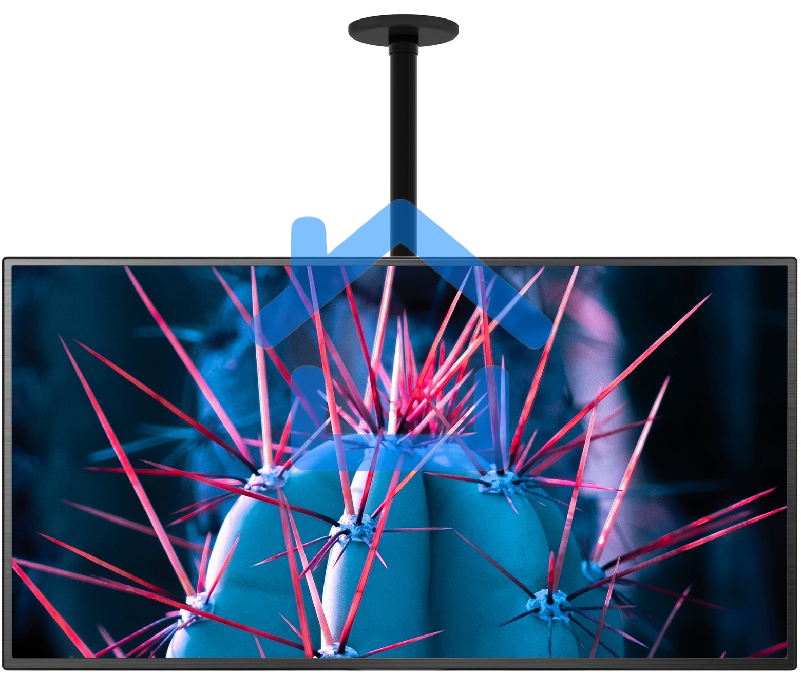 Кронштейн для телевизора Cactus CS-CP07 черный 23