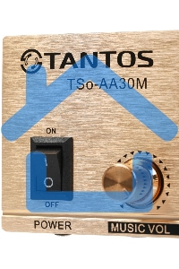 Усилитель Tantos TSo-AA30M выход 100Вт / 30Вт (00-00025068)