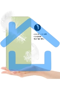 Чехол (клип-кейс) DF poCase-03 для Poco M4 Pro (4G) светло-зеленый