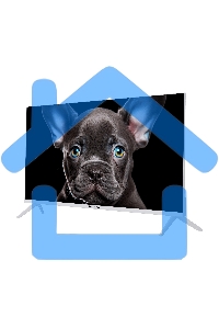 Телевизор TopDevice 32