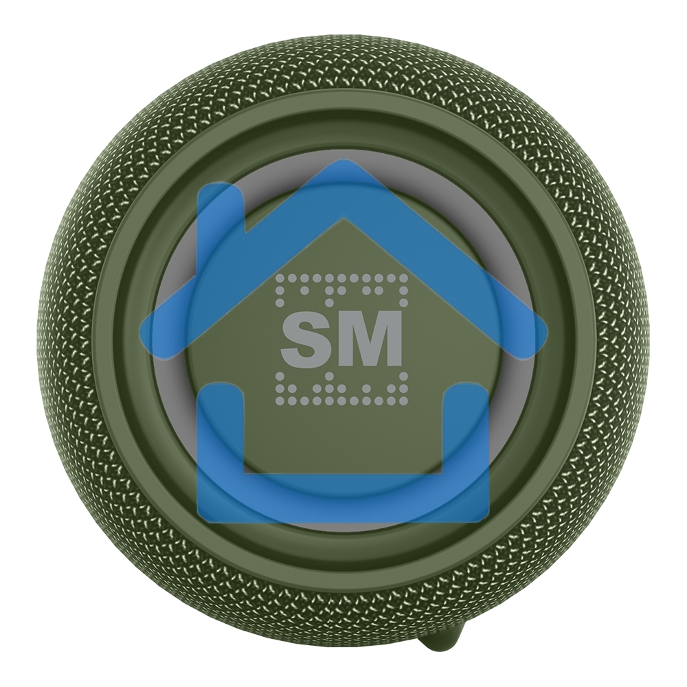 Портативная колонка SOUNDMAX SM-PS5026B зеленый