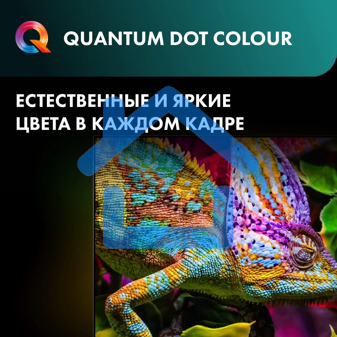 Телевизор Hisense 100