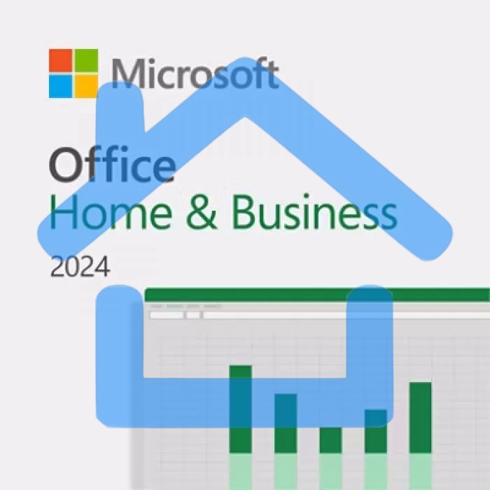 Office Home and Business 2024 All Lng Retail Online CE Only ESD