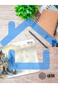 Коврик для мыши Cactus Castle 900x400x3мм (CS-MP-PRO13XXL)