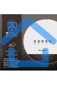 Вытяжка пристенная цилиндрическая Weissgauff Box 40 PB белый, 40 см, 900 куб. м/ч, 58 дБ