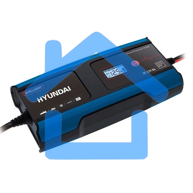 Зарядное устройство Hyundai Hy 810