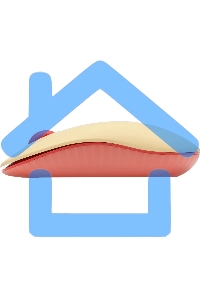 Мышь беспроводная Acer OMR205 бежевый/розовый, 1200 dpi, радиоканал, USB, кнопки - 3