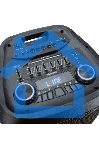 Колонка Eltronic 12