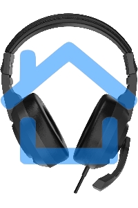 Наушники с микрофоном Оклик HS-L315G черный 1.8м накладные USB оголовье (2007552)