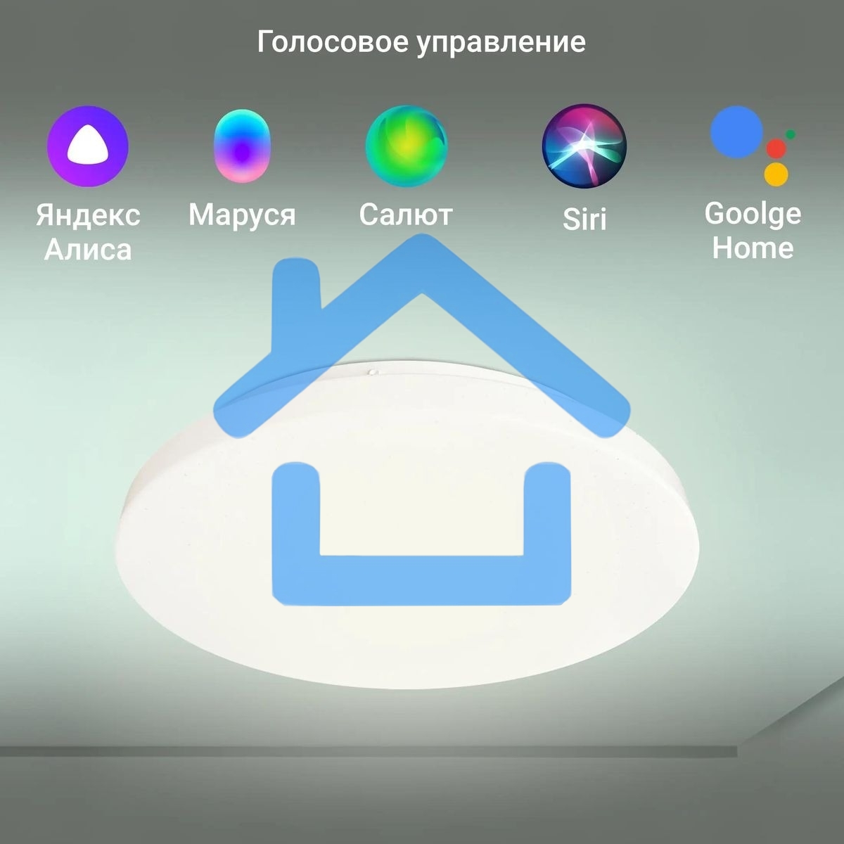 Умный светильник Digma TopLight TL25 потолоч. белый (TL25)