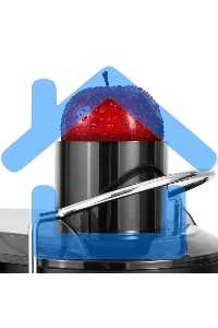 Соковыжималка Zigmund & Shtain EJ-757