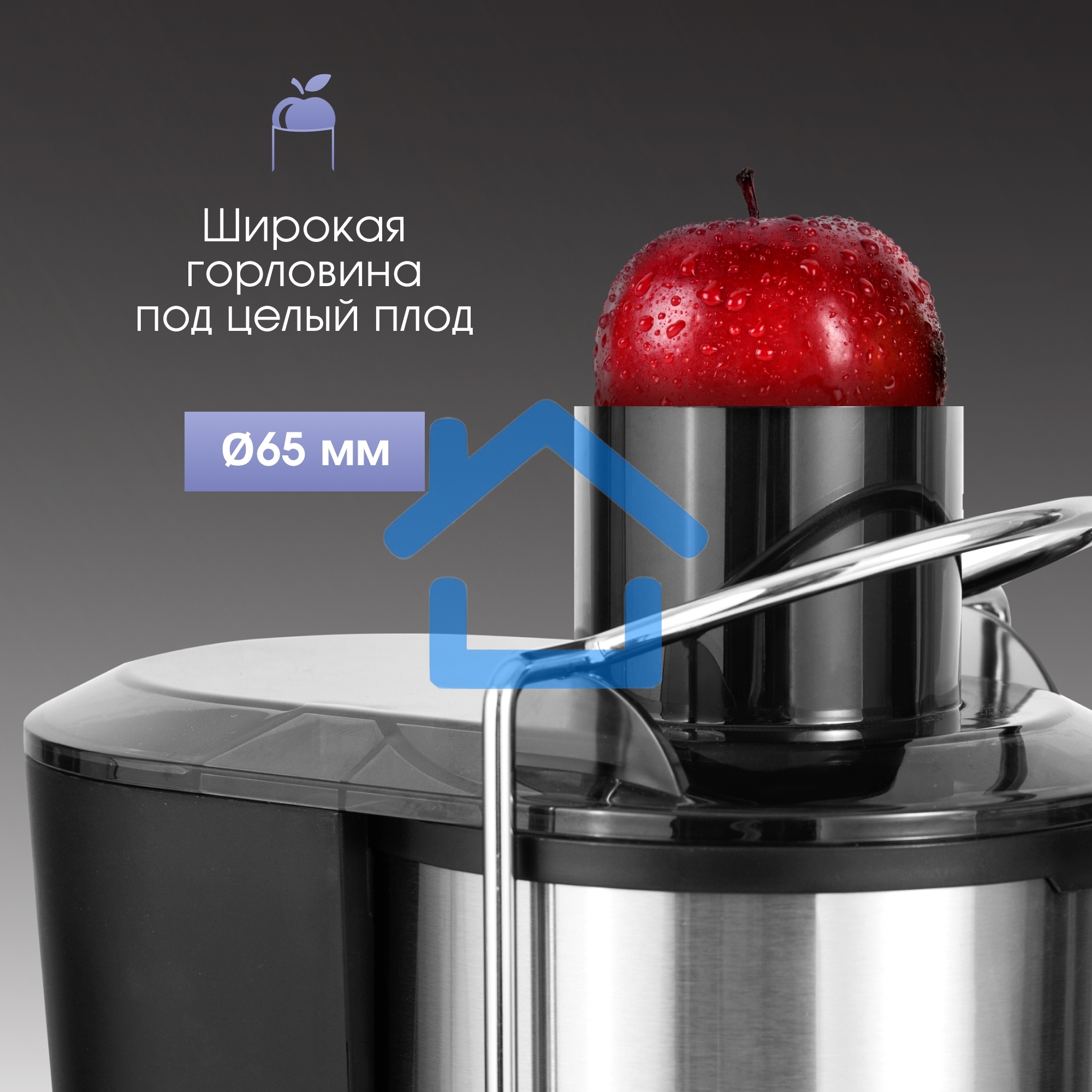 Соковыжималка Zigmund & Shtain EJ-757