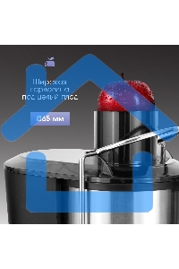 Соковыжималка Zigmund & Shtain EJ-757