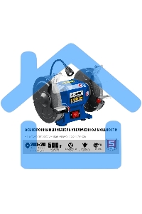Станок заточной ЗУБР ПСТ-200 профессиональный, d200 мм, 500 Вт, ПСТ-200