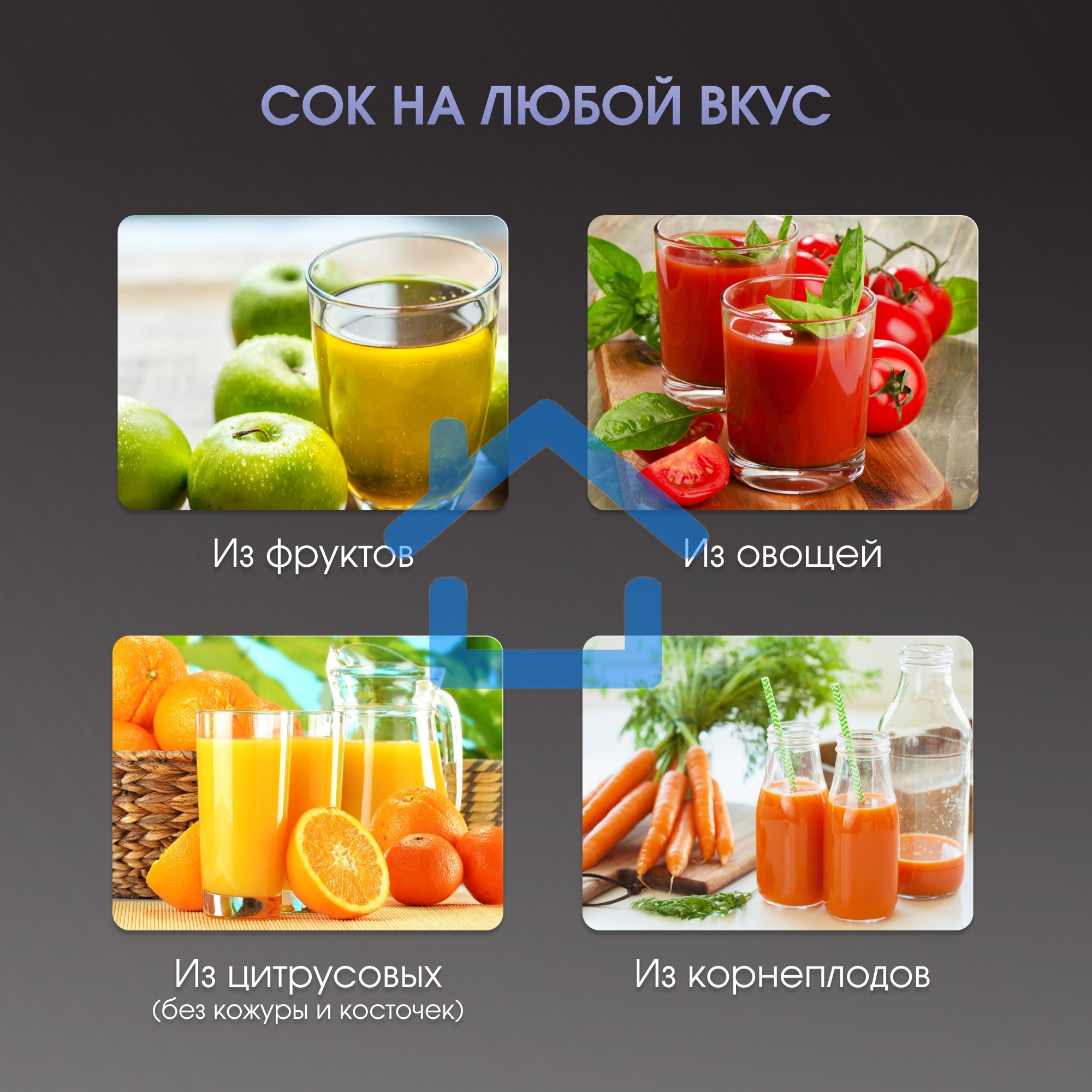 Соковыжималка Zigmund & Shtain EJ-757