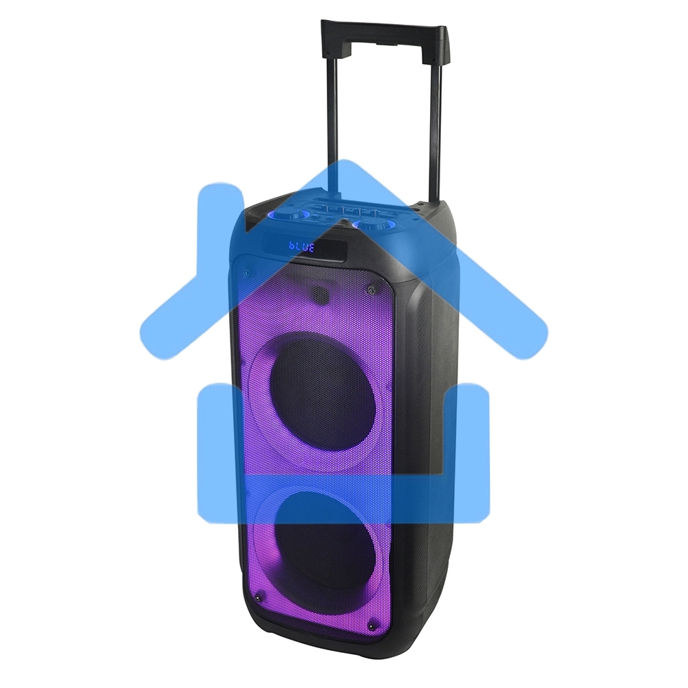 Колонка ELTRONIC 10