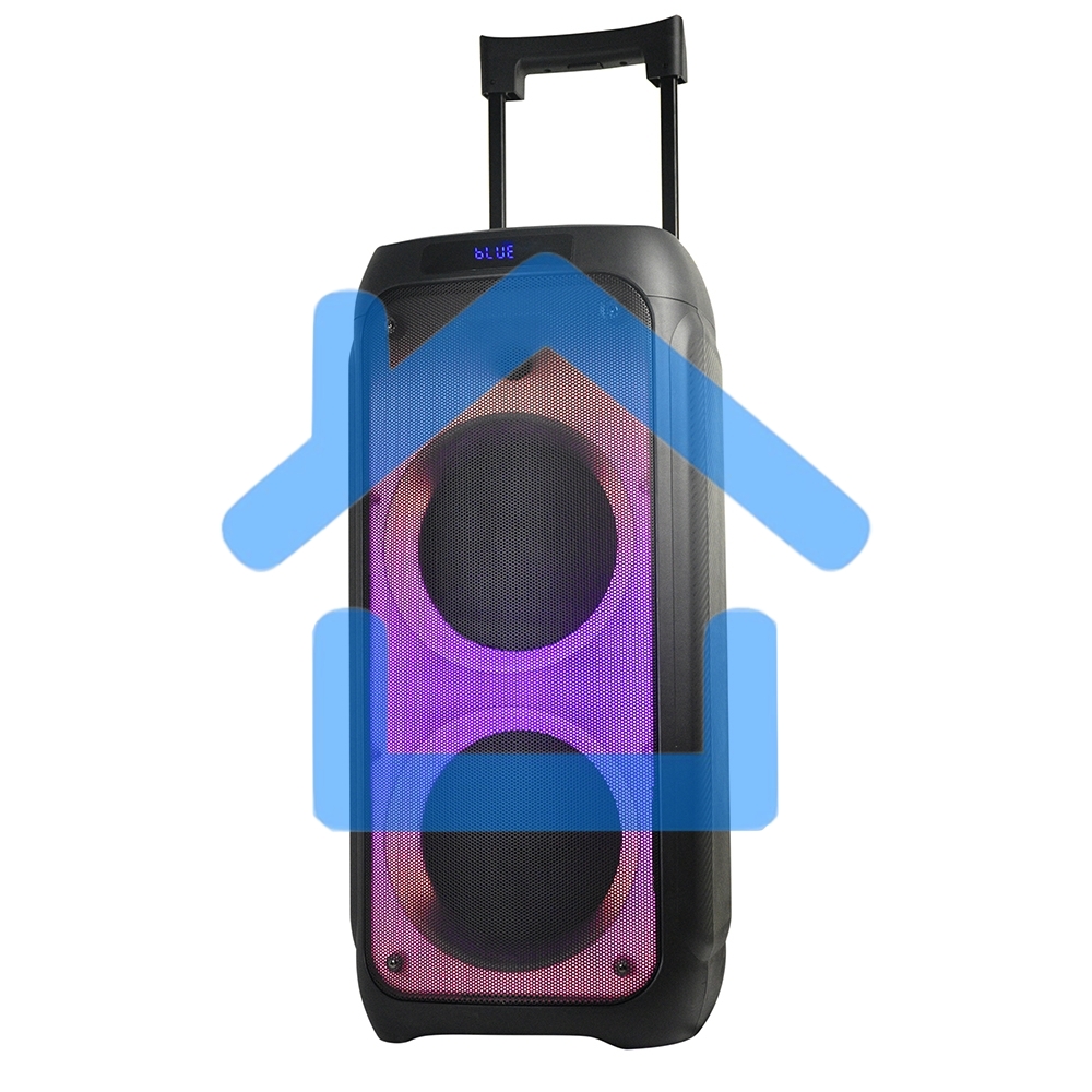 Колонка ELTRONIC 10