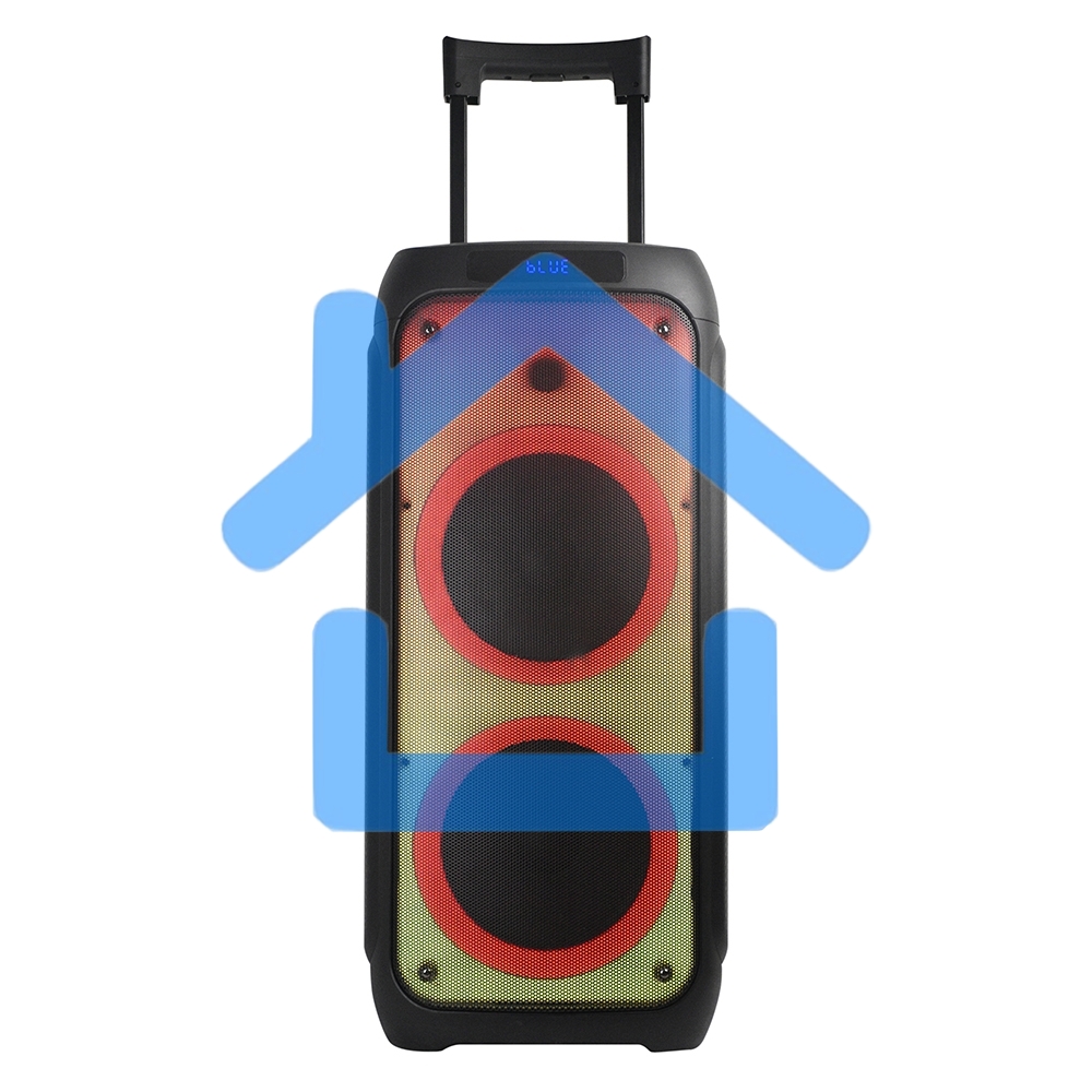 Колонка ELTRONIC 10