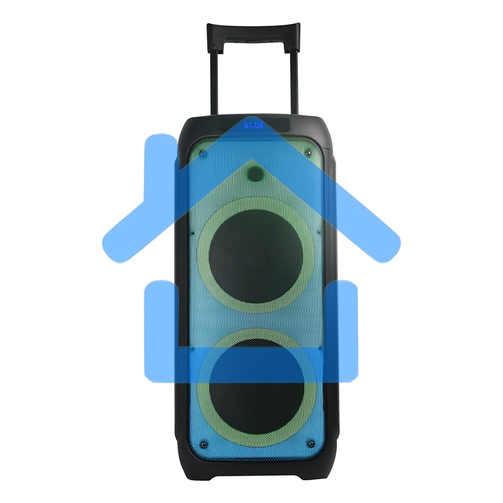 Колонка ELTRONIC 10