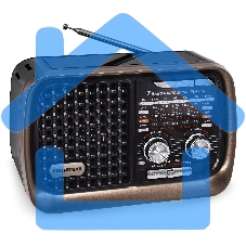 Радиоприемник SOUNDMAX SM-RD2124UB(черный с серым)