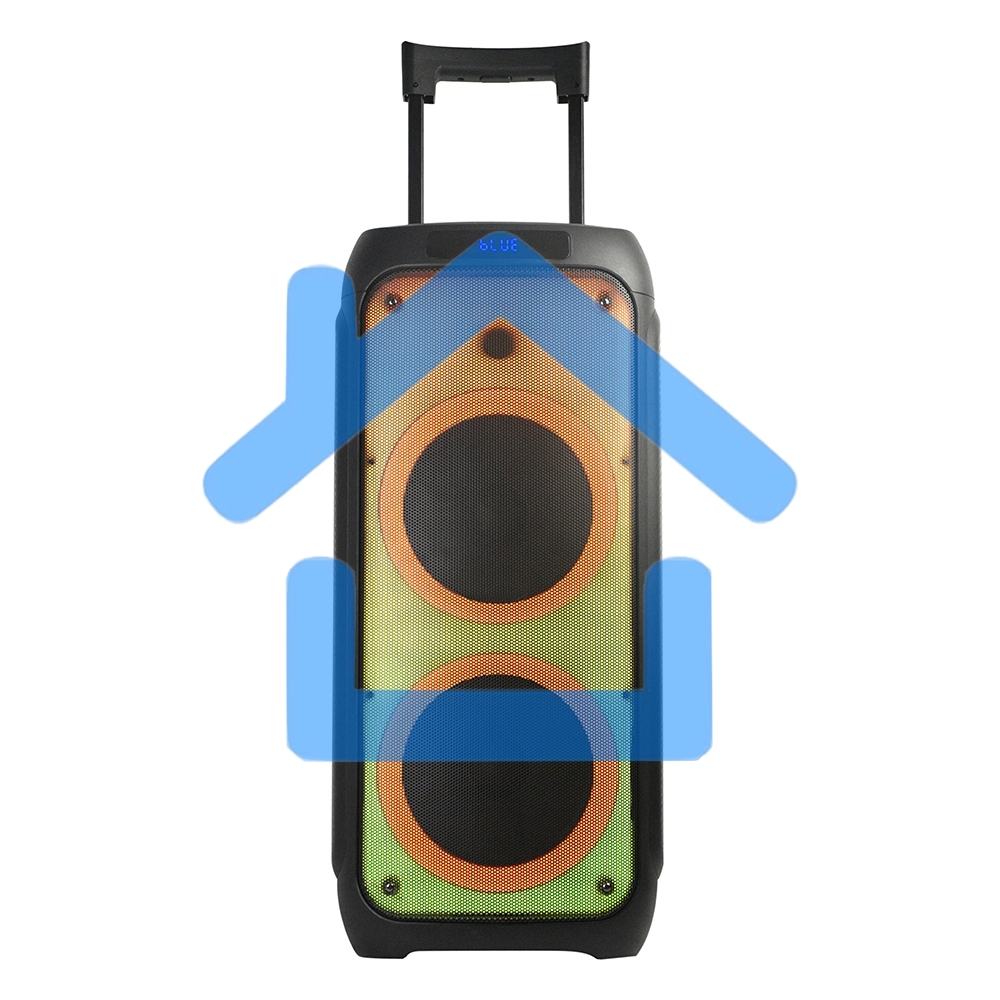 Колонка ELTRONIC 10