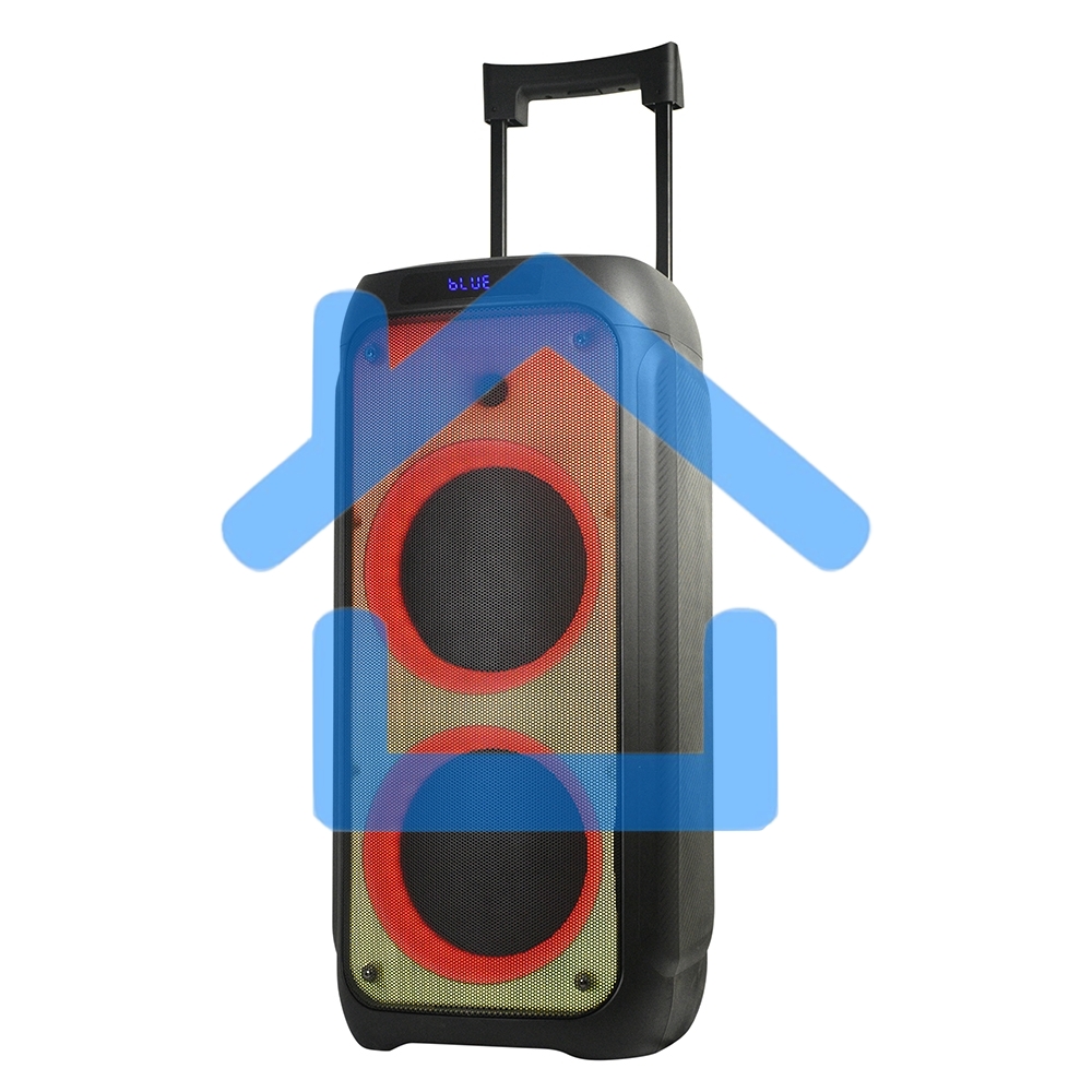 Колонка ELTRONIC 10
