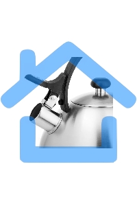 Чайник для плиты LARA LR00-65, нержавейка, матовый, 2,5 л, индукце капс дно, нейлон.ручка