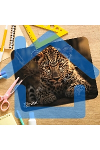 Коврик для мыши Cactus Leopard 250x200x3мм (CS-MP-D06S)