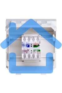 Розетка компьютерная DKC Brava 76655B R J 45 кат. 5e, белая, 2 мод