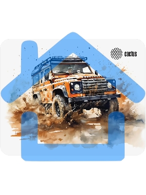 Коврик для мыши Cactus Jeep 250x200x3мм (CS-MP-D11S)