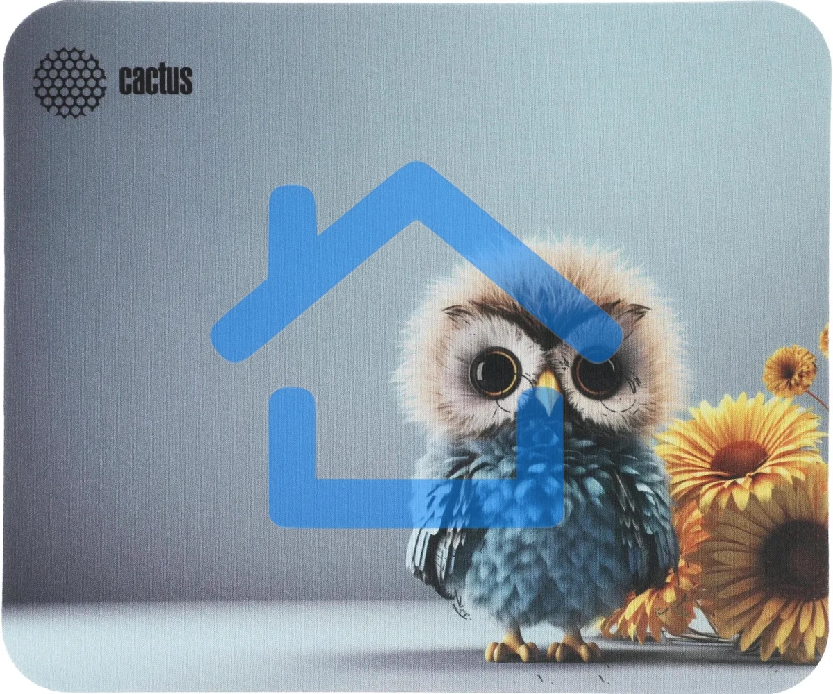 Коврик для мыши Cactus Owl gray 300x250x3мм (CS-MP-D12M)